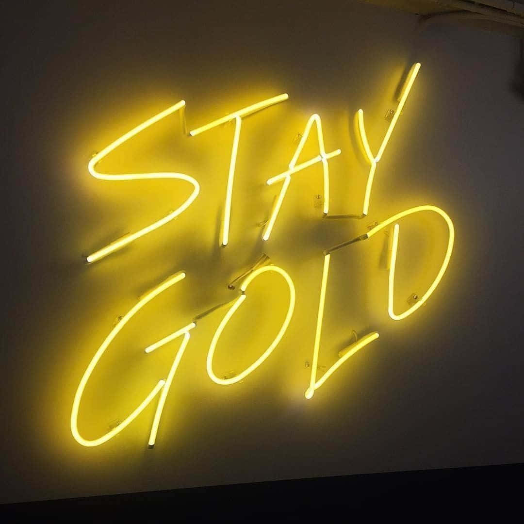 Lys op med neonlys i neonæstetik Wallpapers