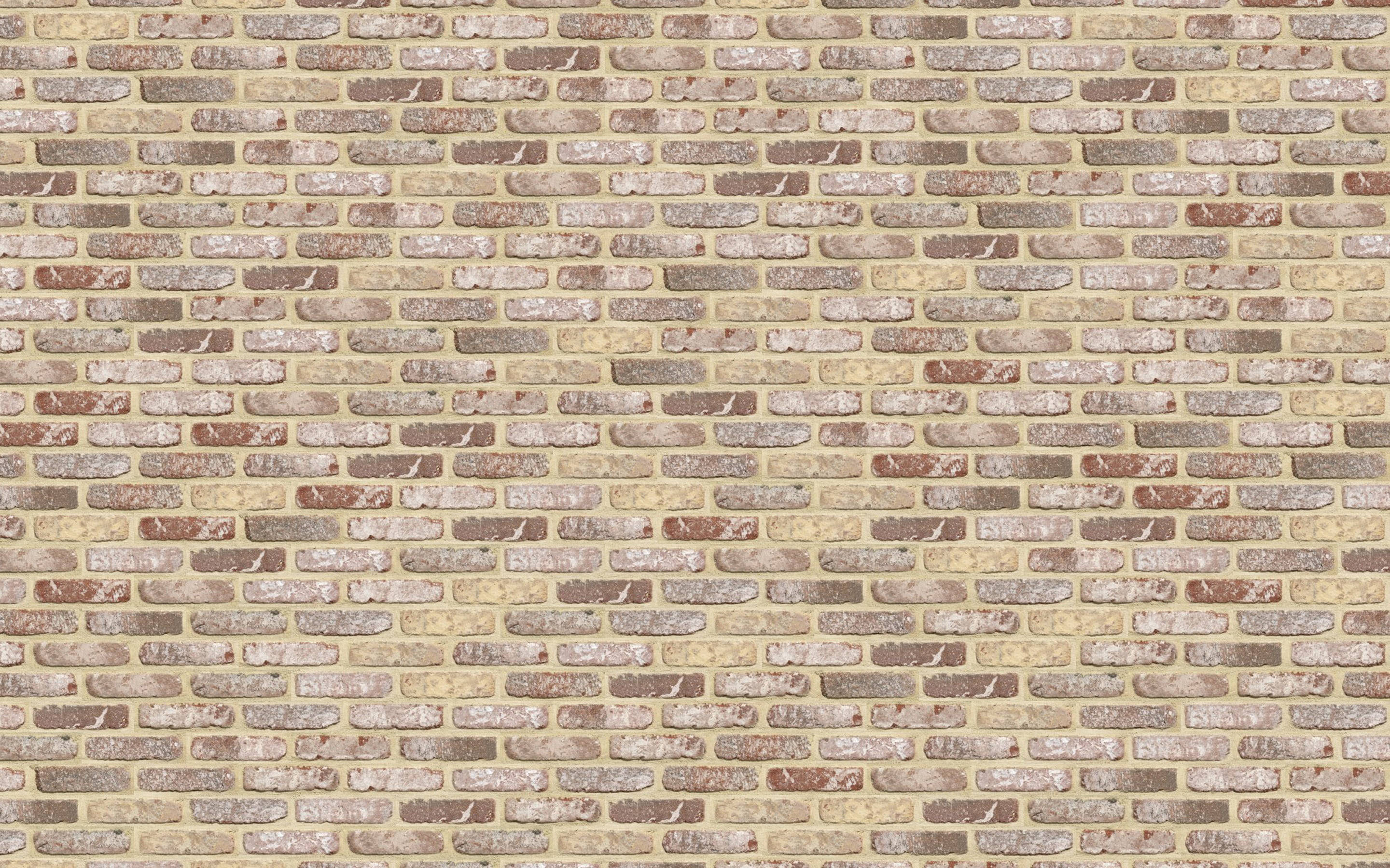 Lys stenmur med mursten Wallpapers