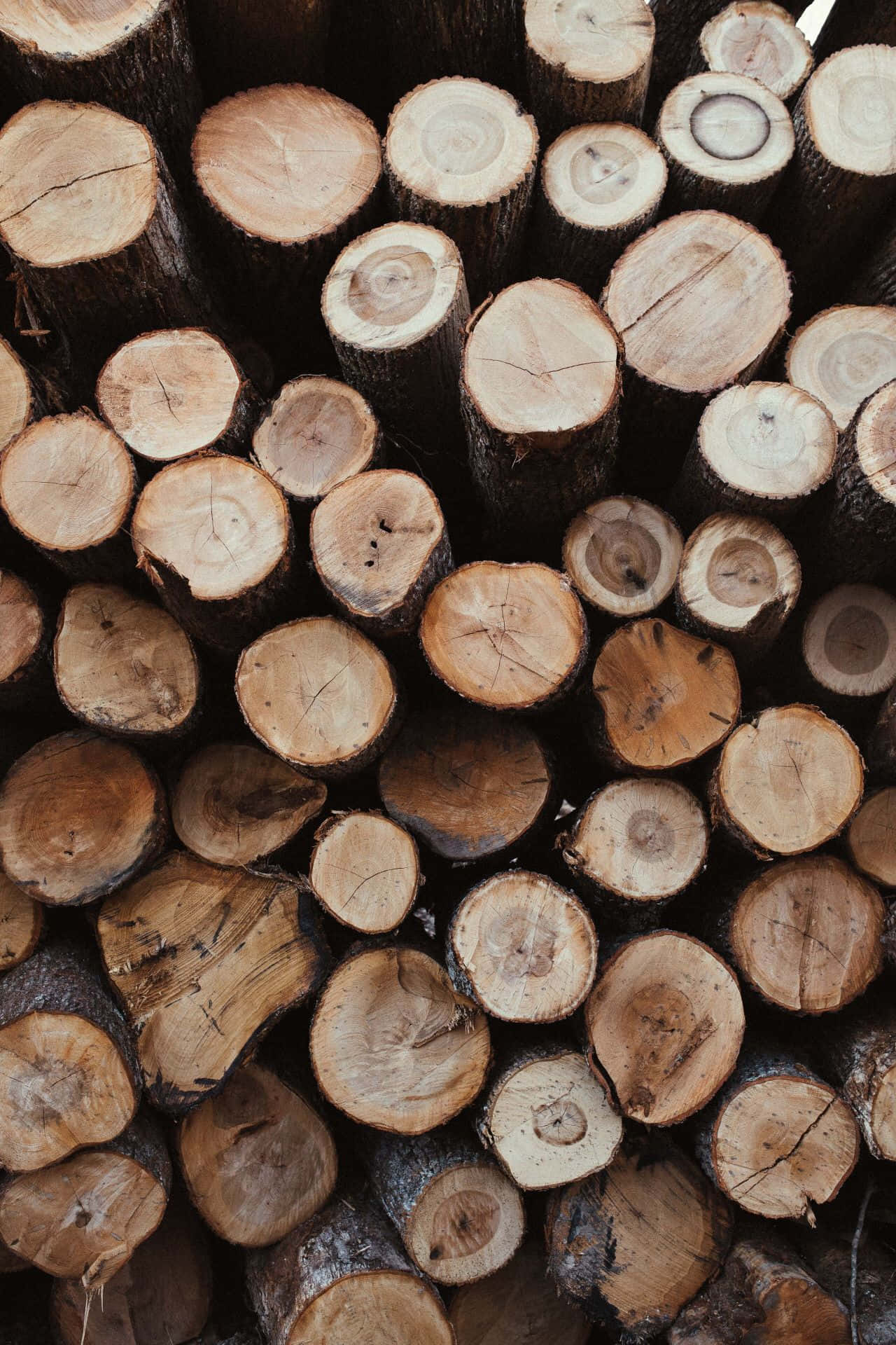 Lysbrune æstetiske billeder Wallpapers