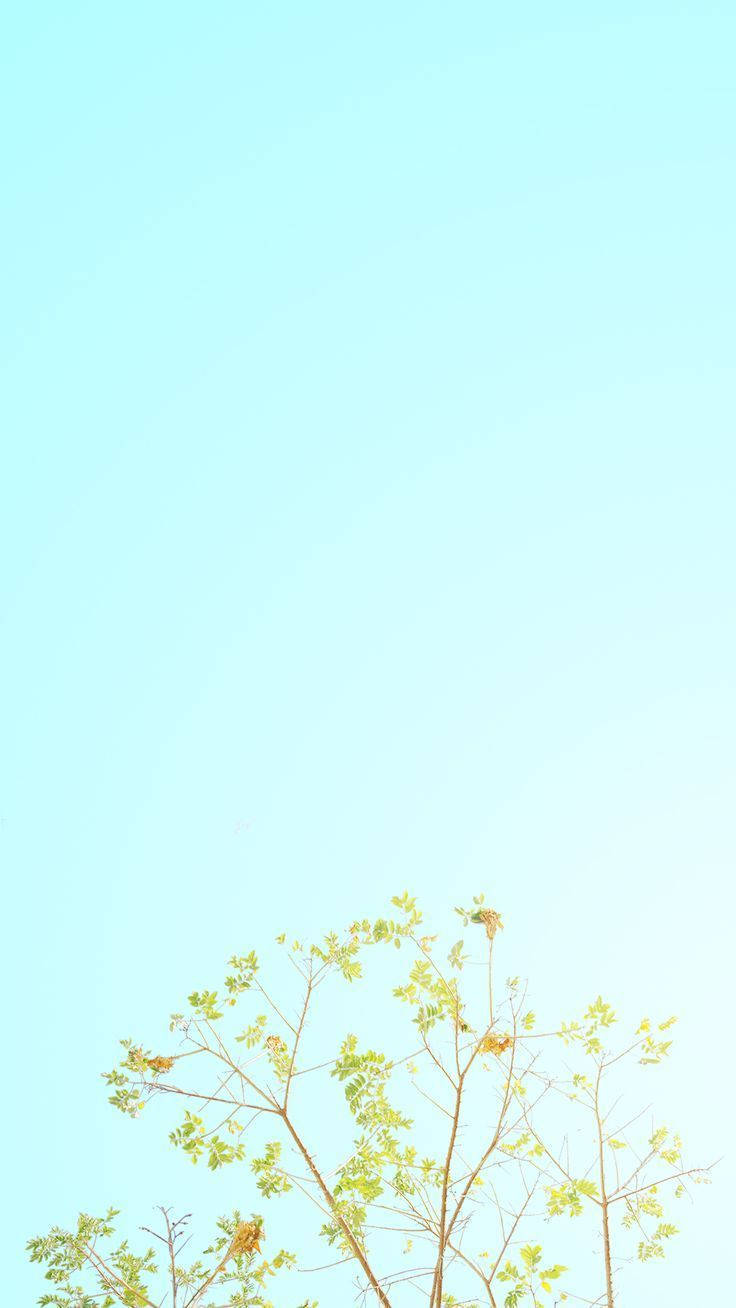 Lyseblå pastel iPhone Wallpapers