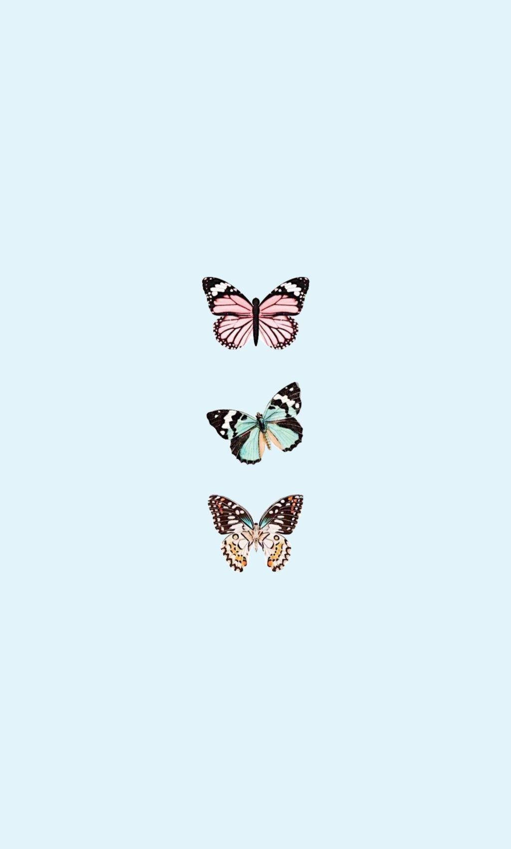Lyseblå sommerfugleæstetik Wallpapers