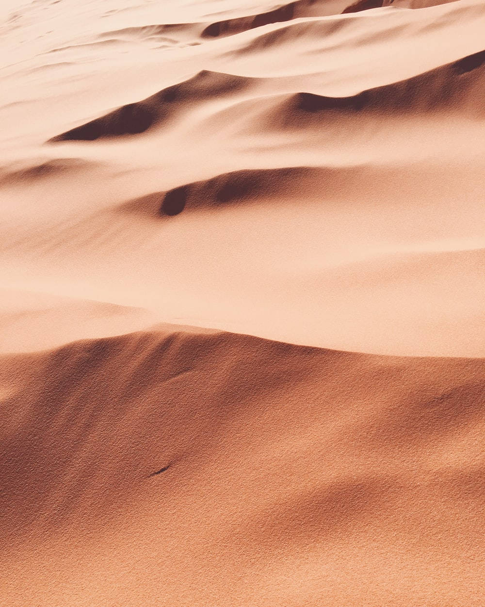Lysebrune æstetiske sandklitter Wallpapers