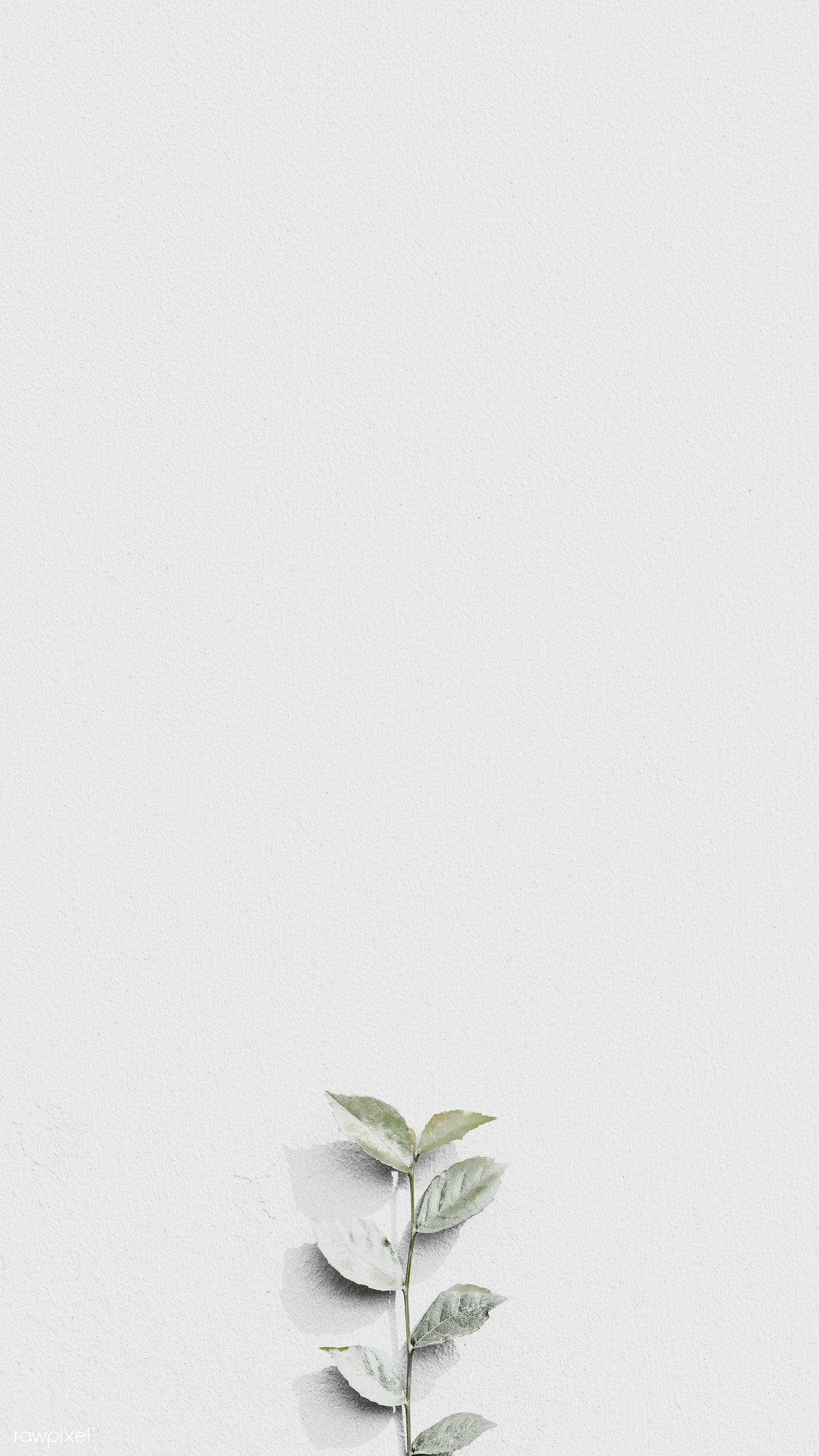 Lysegrå Æstetisk Blomstring Wallpapers