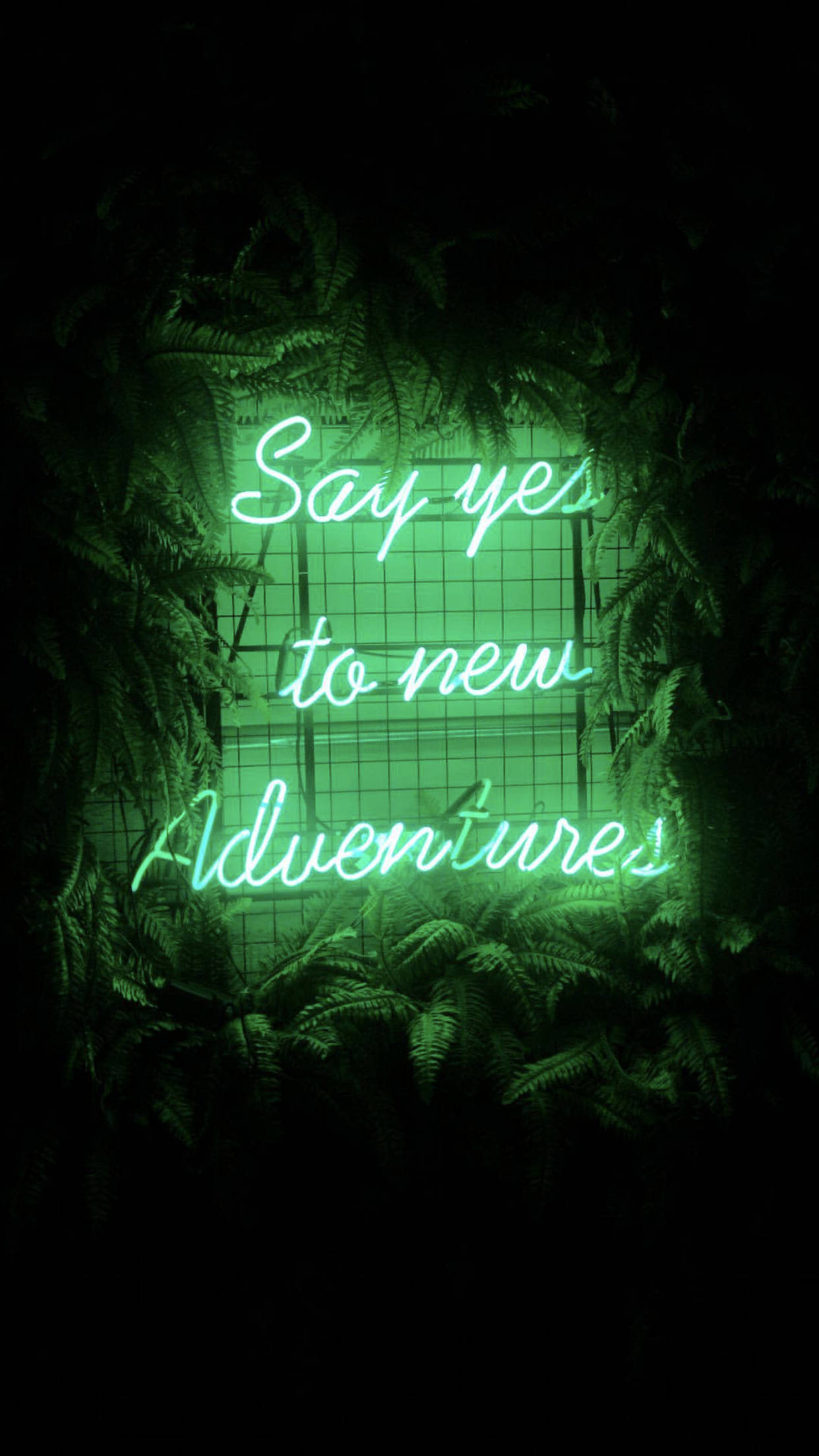 Lysegrøn Æstetik Nye Eventyr Wallpapers