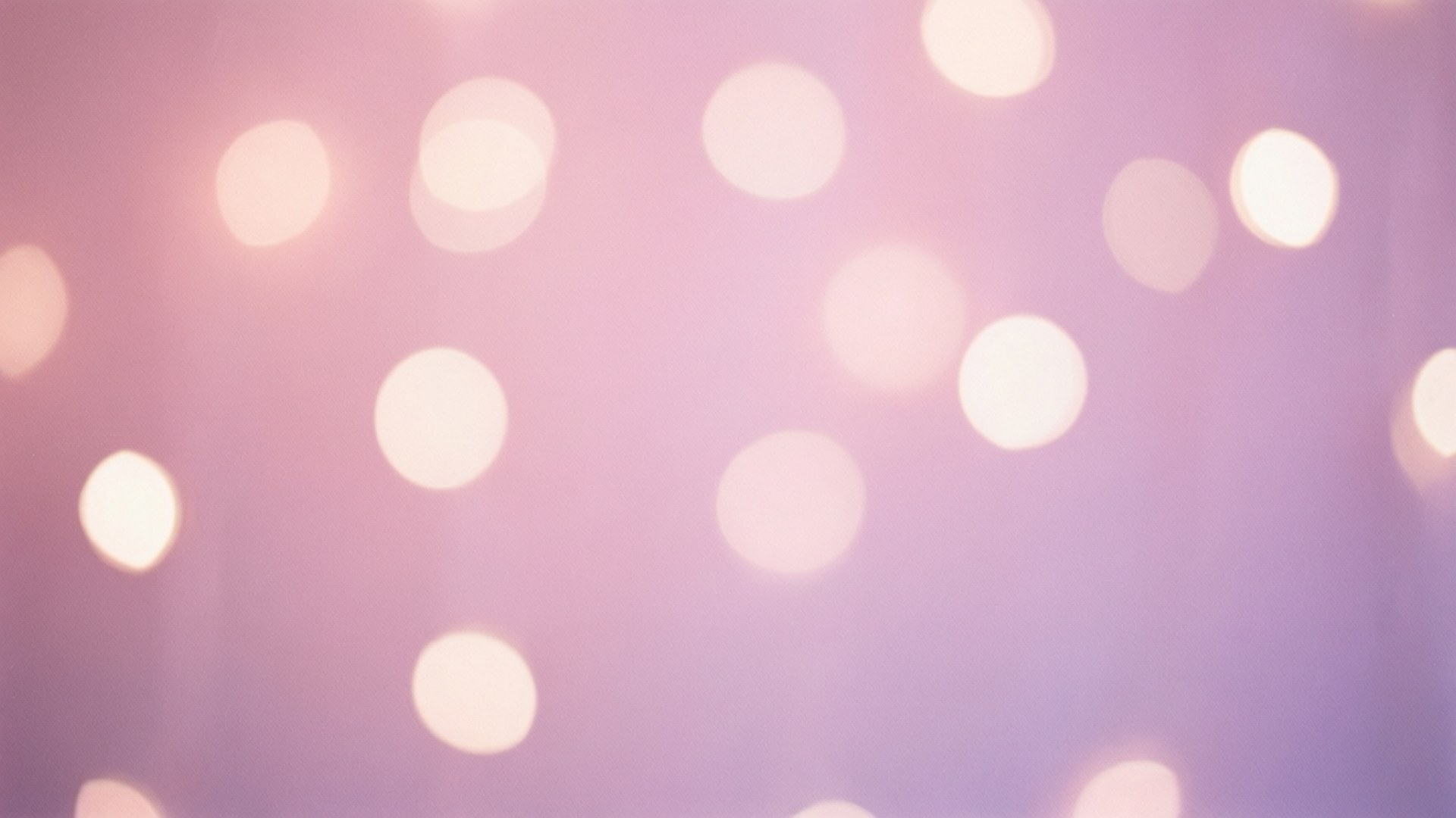 Lyserød Lavendel Bokeh Wallpapers
