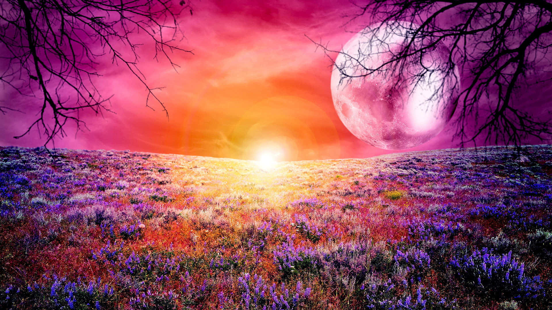 Lyserød måne og blomstermark Wallpapers