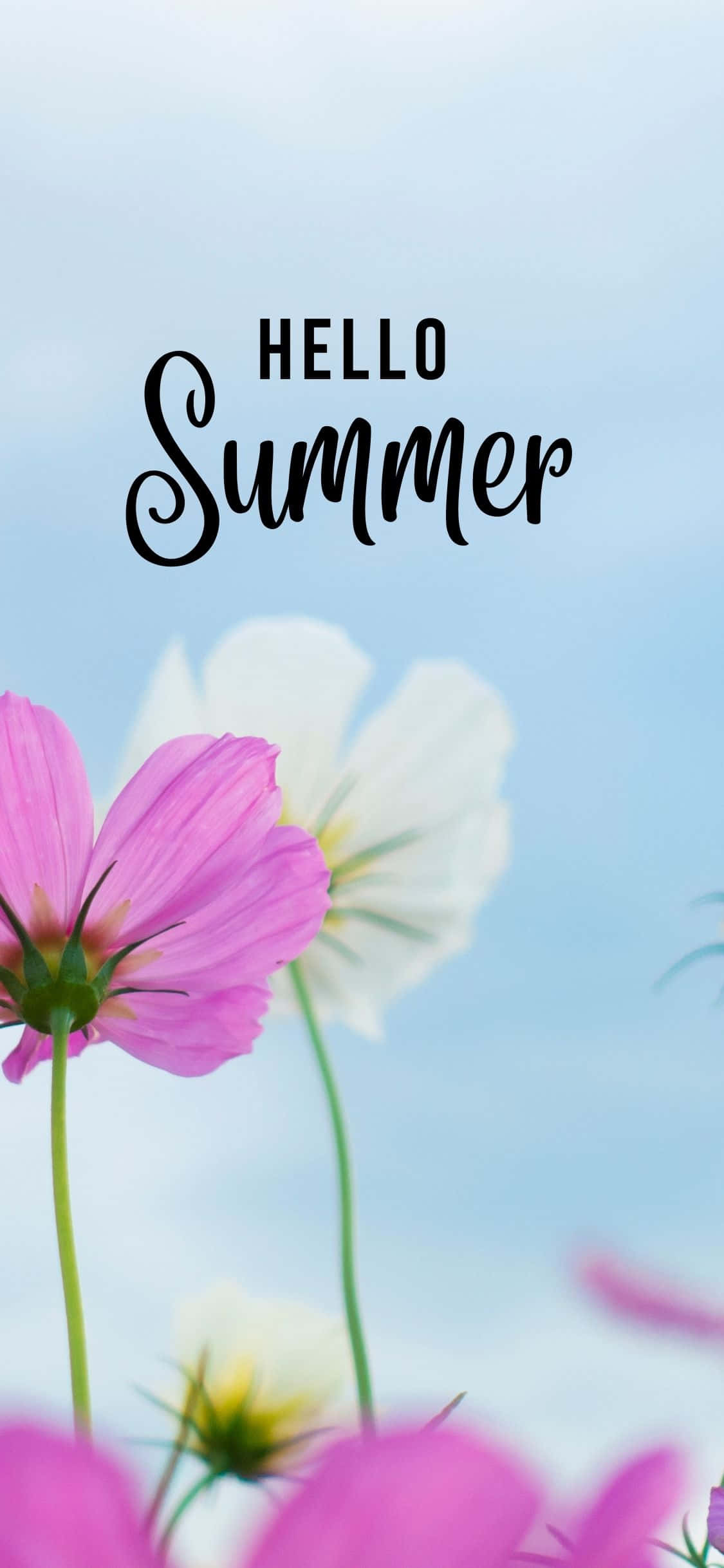 Pink og Hvide Blomster iPhone X Sommerbaggrund Wallpapers