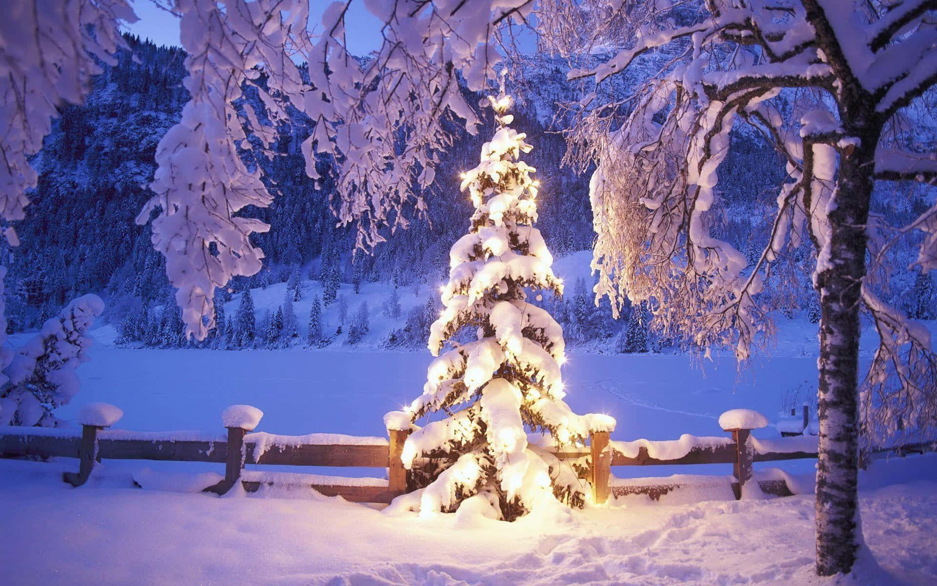 Magisk julebaggrund til skrivebordet Wallpapers