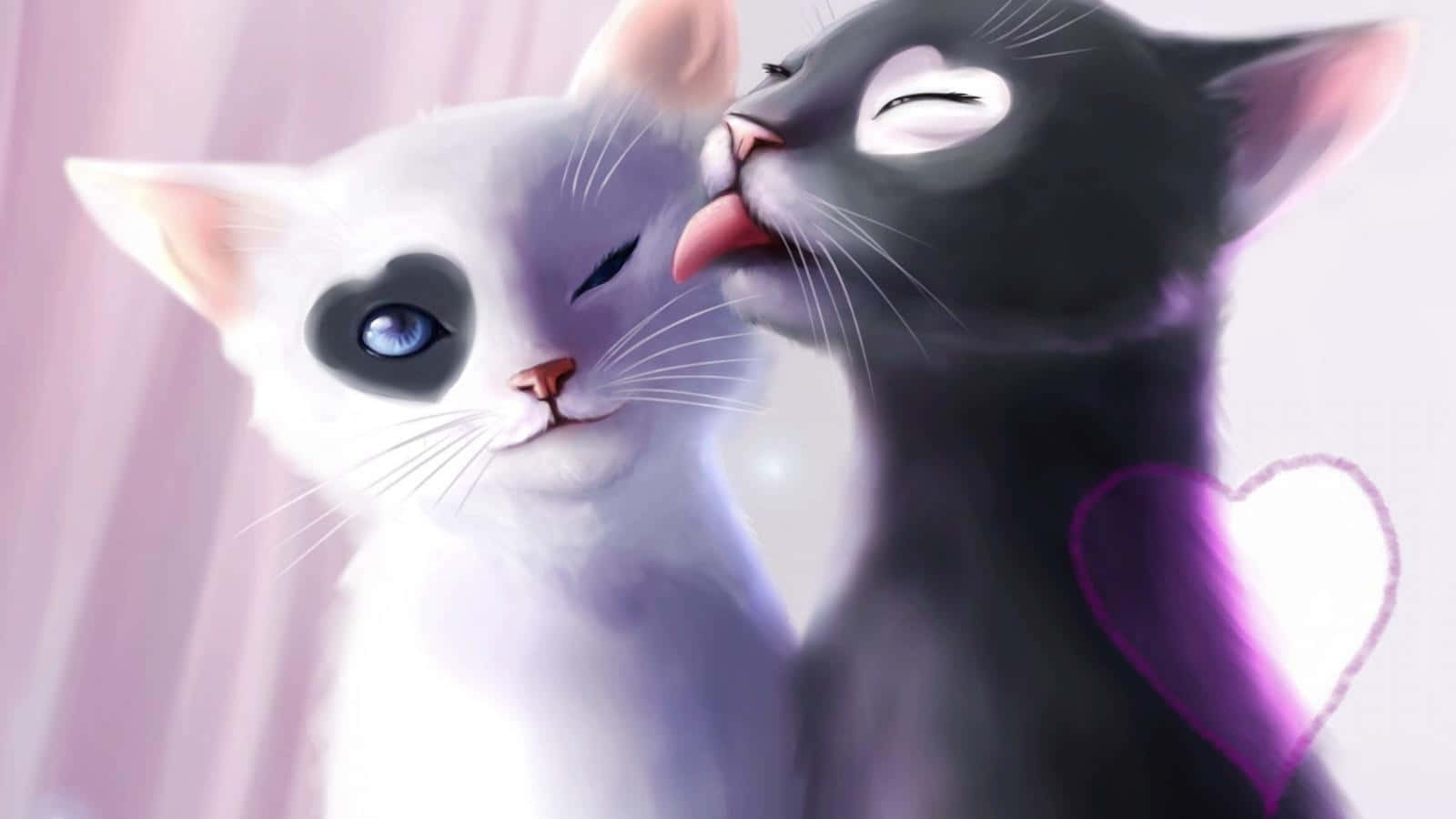 Magisk kat spreder smil over hele verden Wallpapers