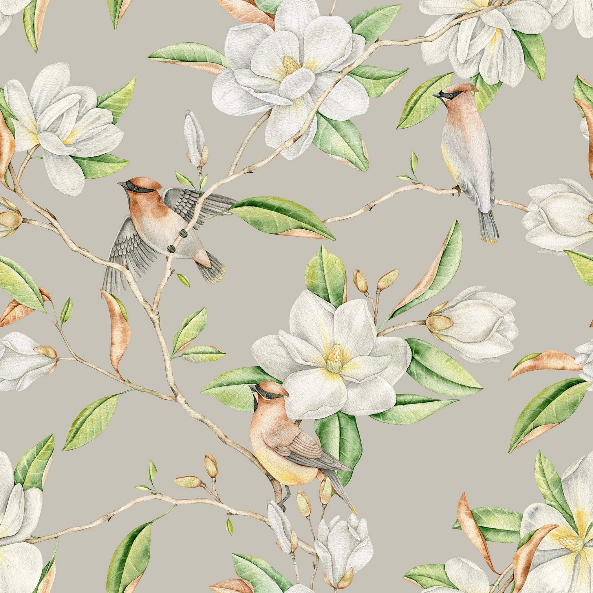 Magnolieblomst æstetisk printdesign Wallpapers