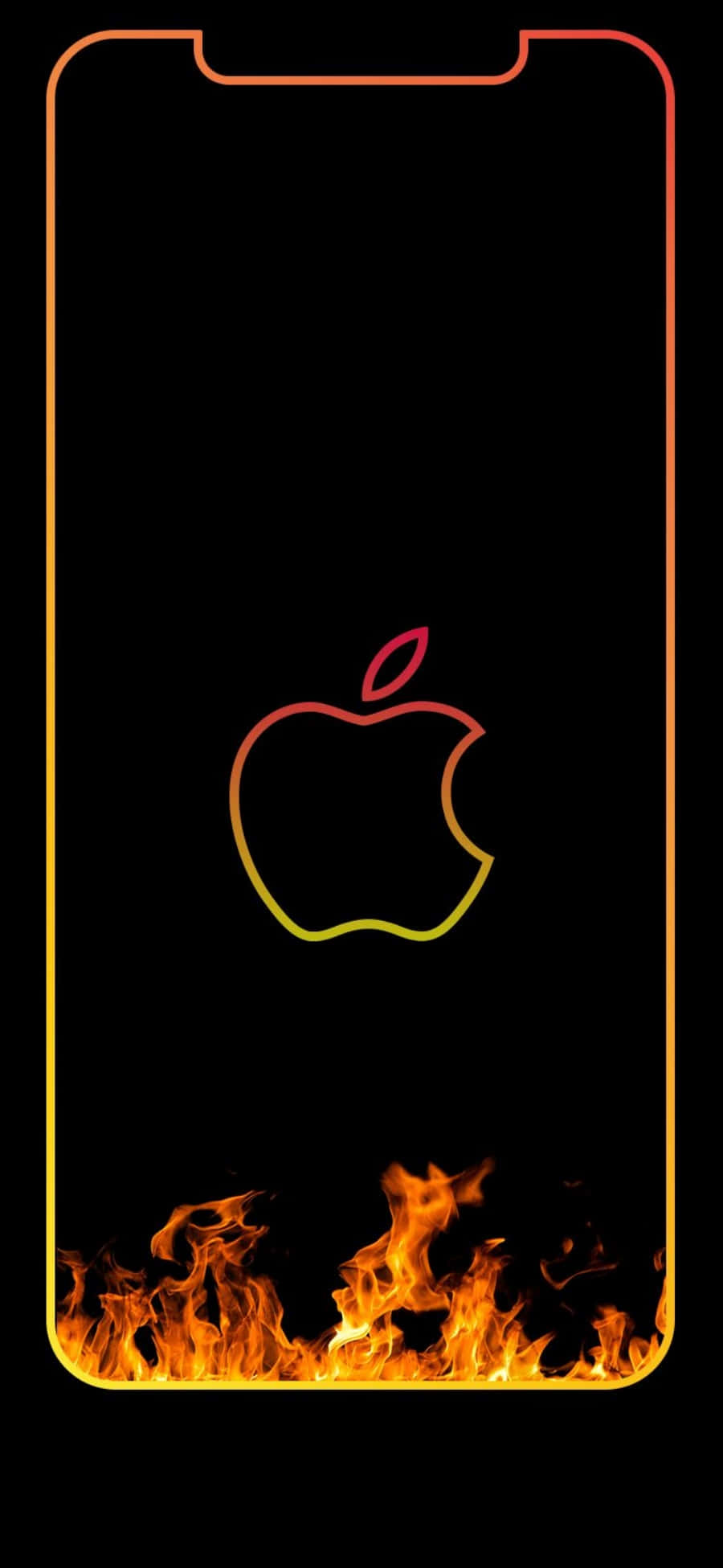 Majestætisk ørn i flugt Wallpapers