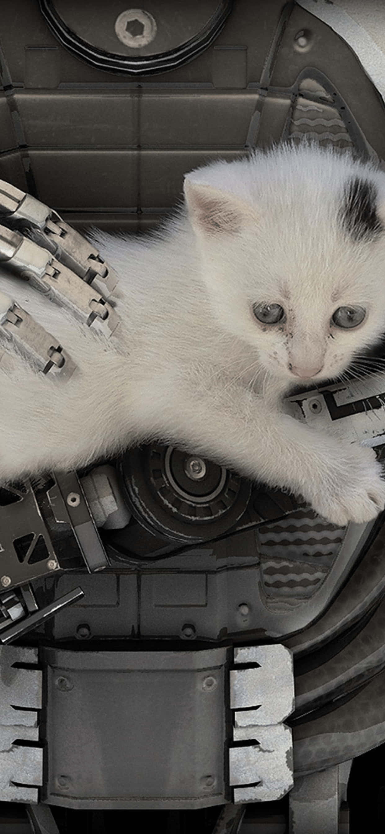 Majestætisk Verden af The Talos Principle på iPhone XS Max Wallpapers