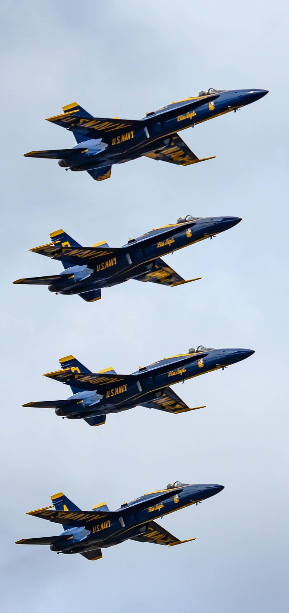 Majestætiske Blue Angels i flugt Wallpapers