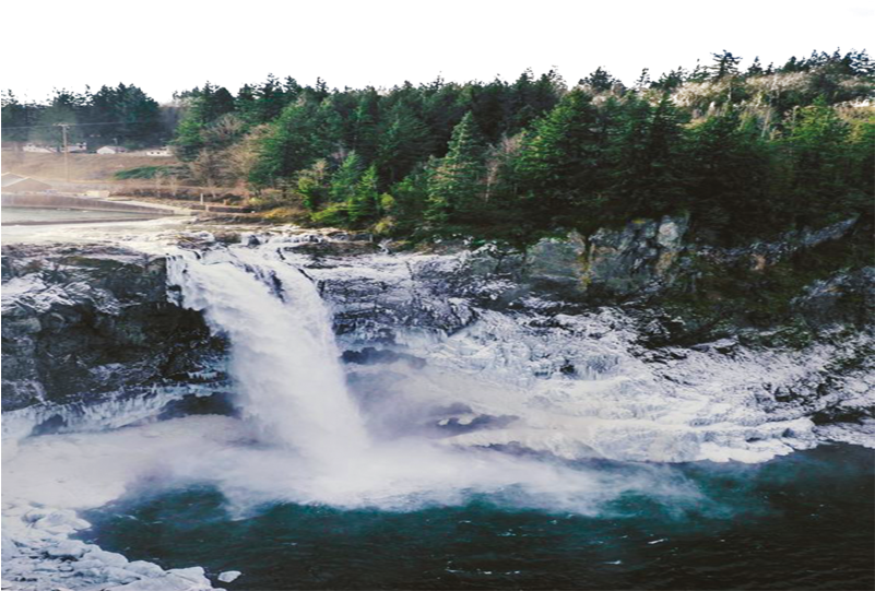 Majestætisk skovvandfald Wallpapers