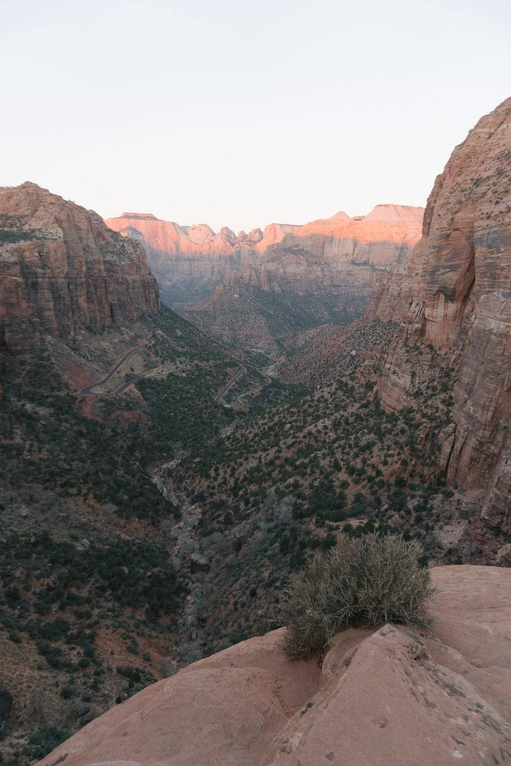 Majestætiske bikube-klippeformationer i Zion National Park Wallpapers