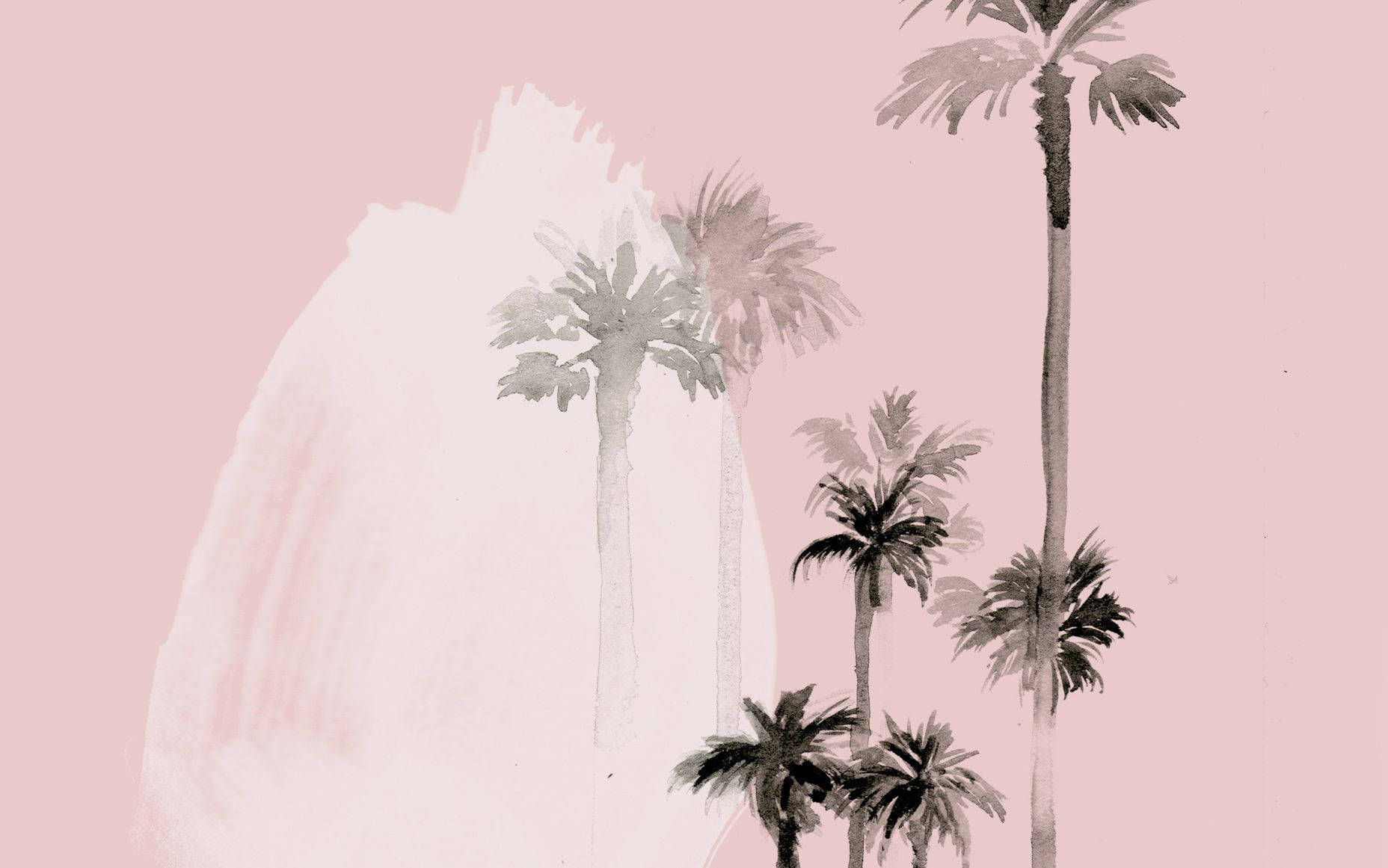 Malede californiske palmetræer æstetisk Mac Wallpapers