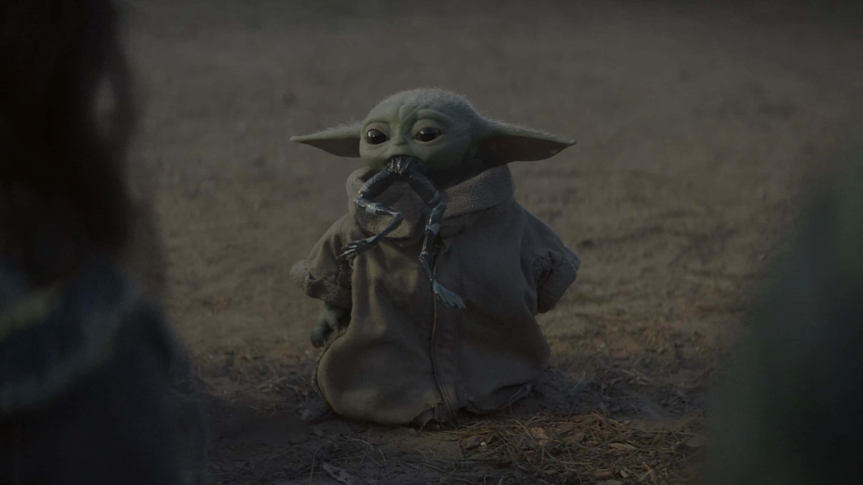 Mandalorianer Yoda bider frølår Wallpapers