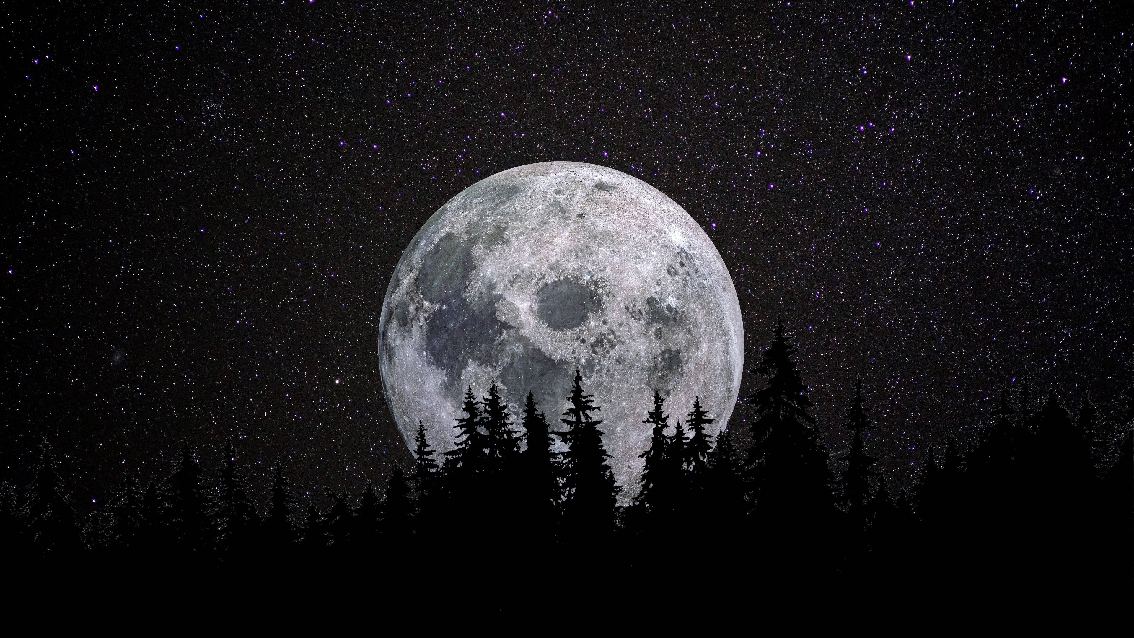 Måne 4K Fuldmåne over skov Wallpapers