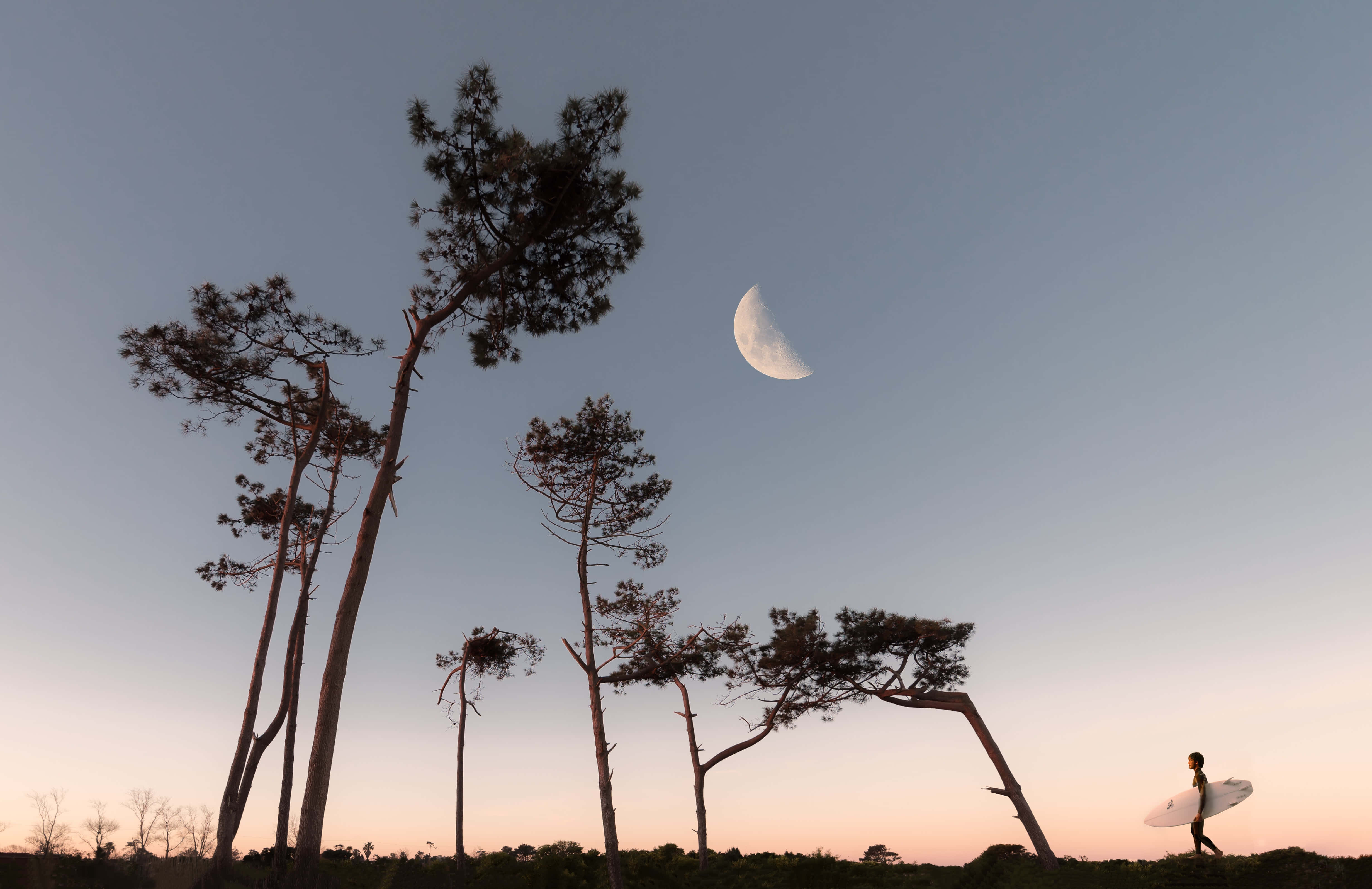 Måne på eftermiddagshimmelen billede Wallpapers