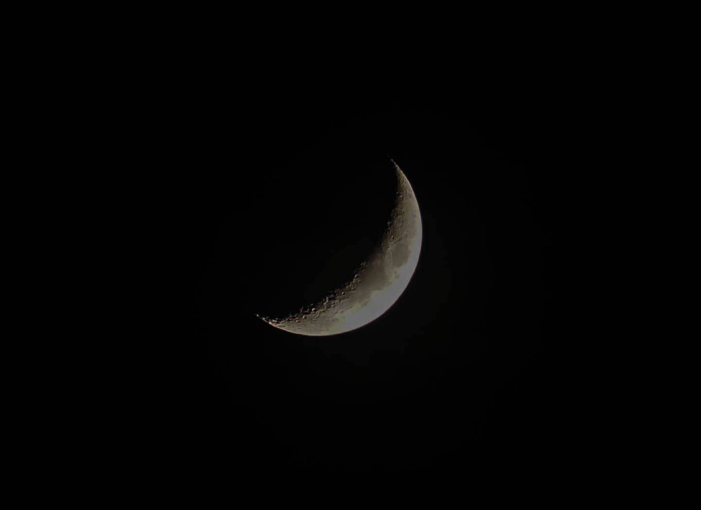 Måne på mørk sort nat Wallpapers