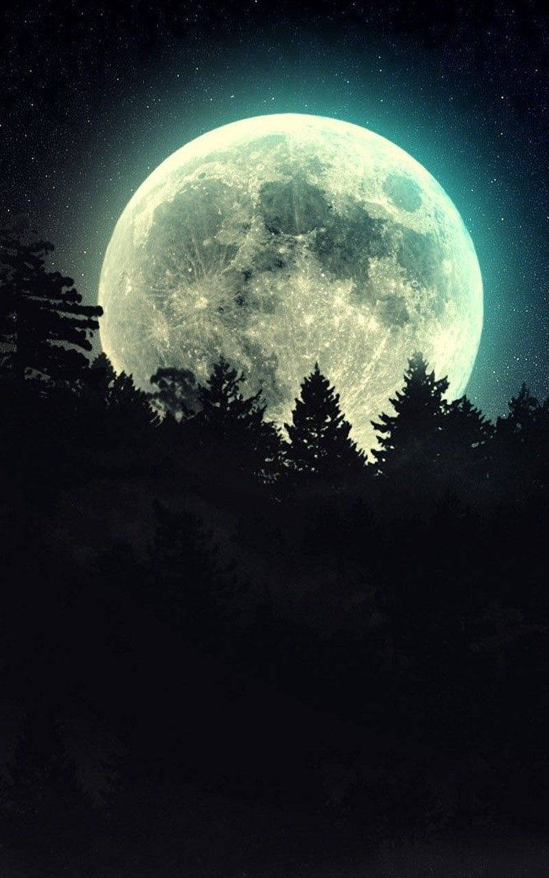 Måne Telefon Fyrretræer Wallpapers
