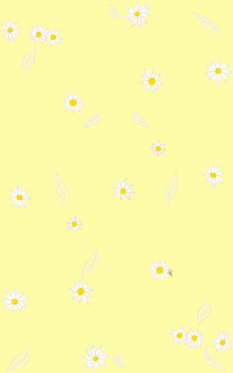 Margueritblomster over sød pastelgul æstetik Wallpapers