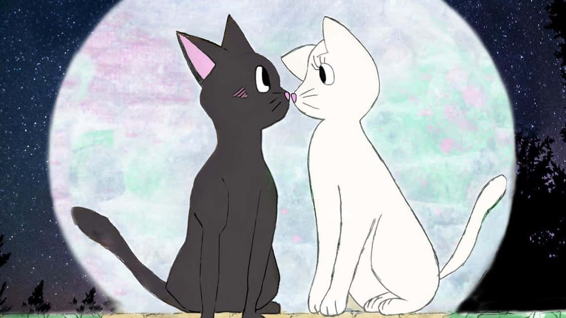 Matchende katteprofilbillede Sailor Moon Wallpapers