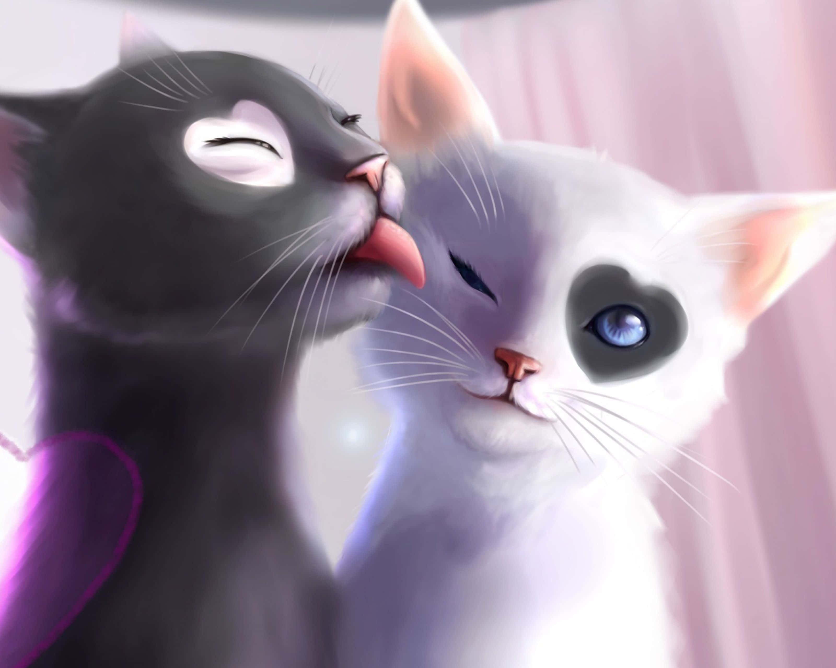 Matchende katteprofilbilleder, der slikker hinanden Wallpapers