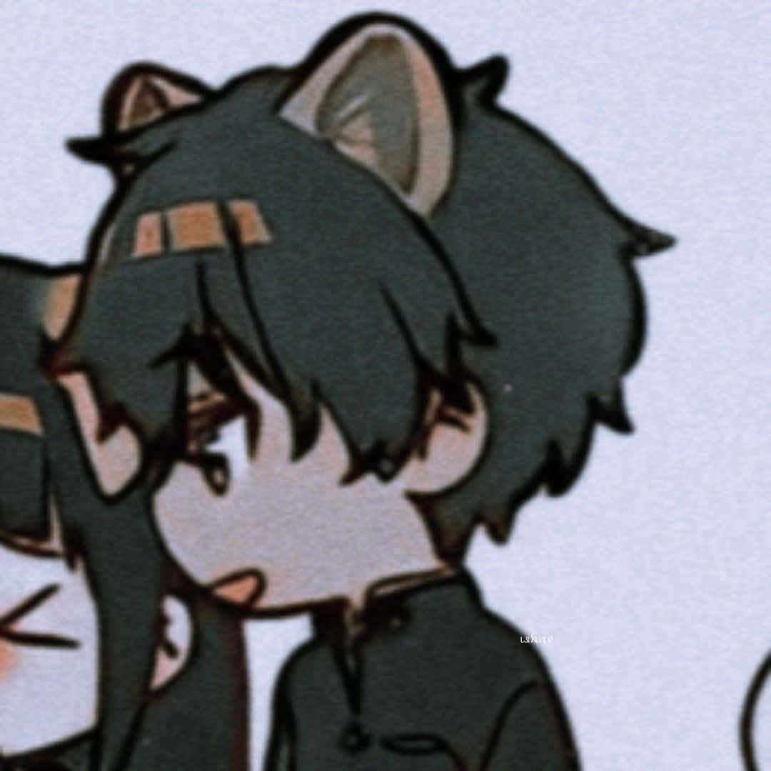 Matchende par profilbillede anime katte dreng Wallpapers