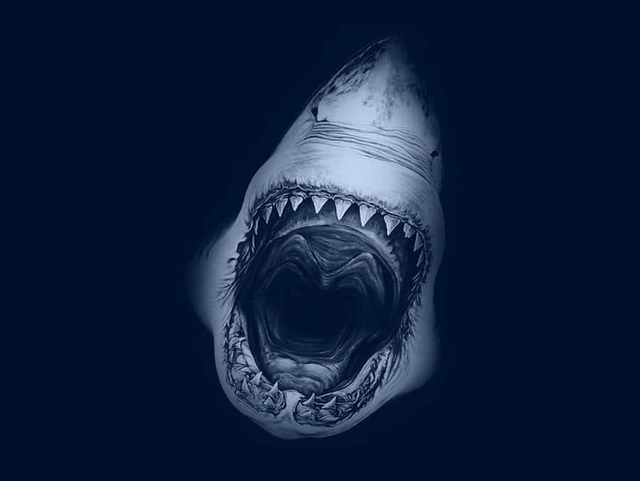 Megalodon blå æstetisk brøl billede Wallpapers