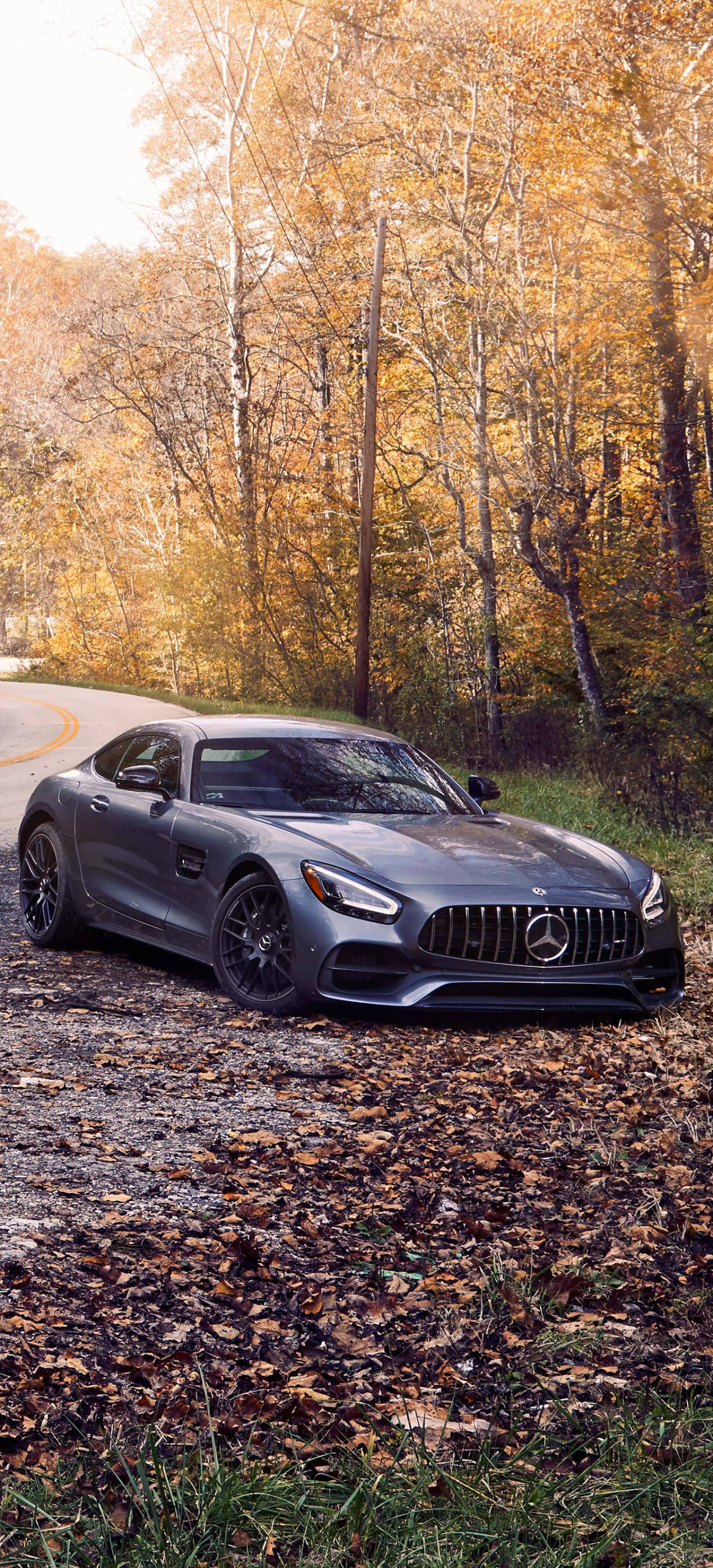 Mercedes AMG efterårstræer iPhone Wallpapers