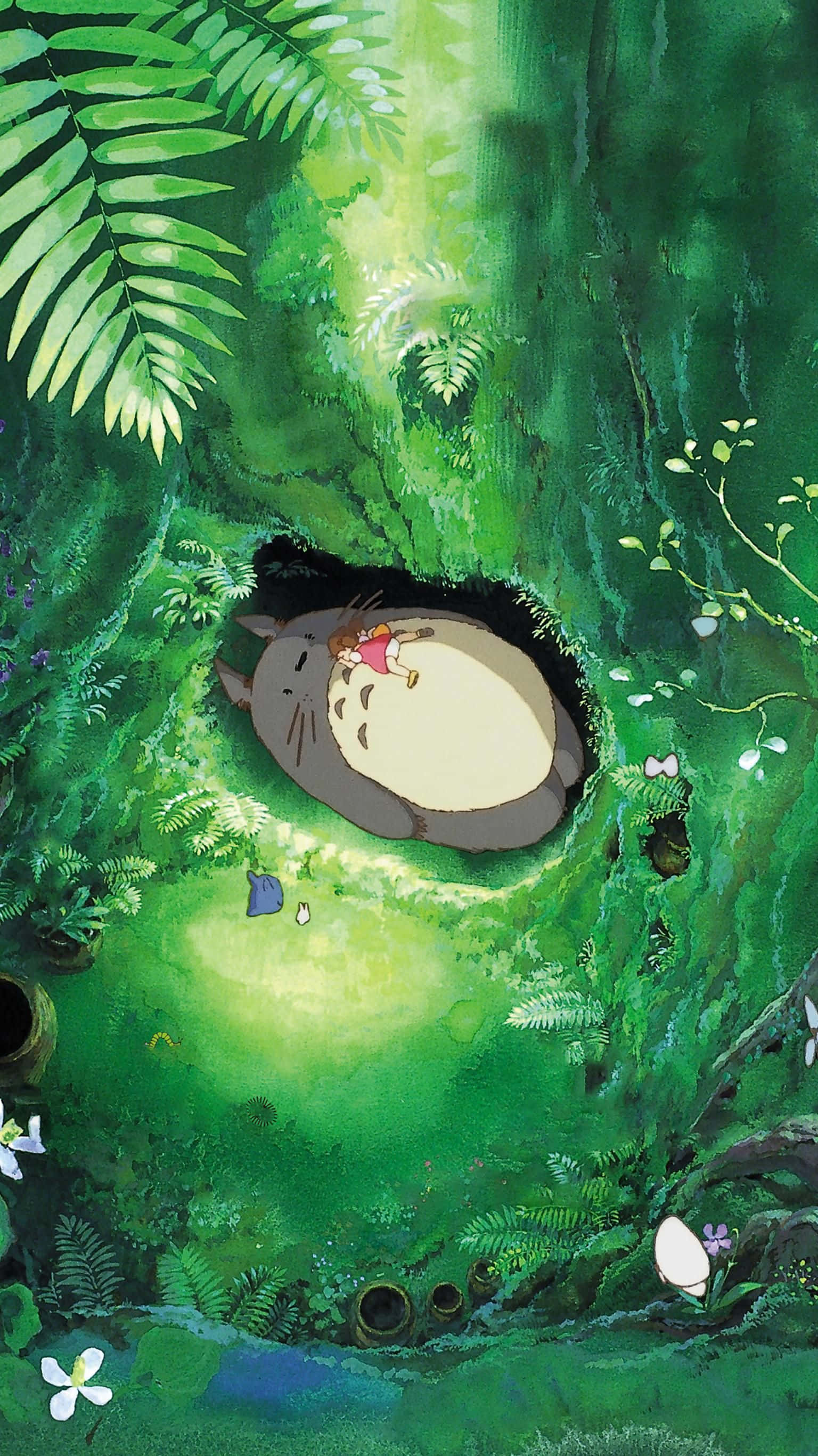 Min Nabo Totoro Studio Ghibli Telefon Wallpapers