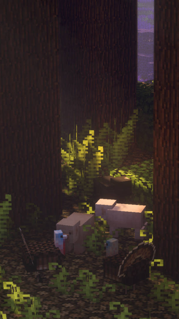 Minecraft Aestetisk Skjult Mørk Skov Wallpapers