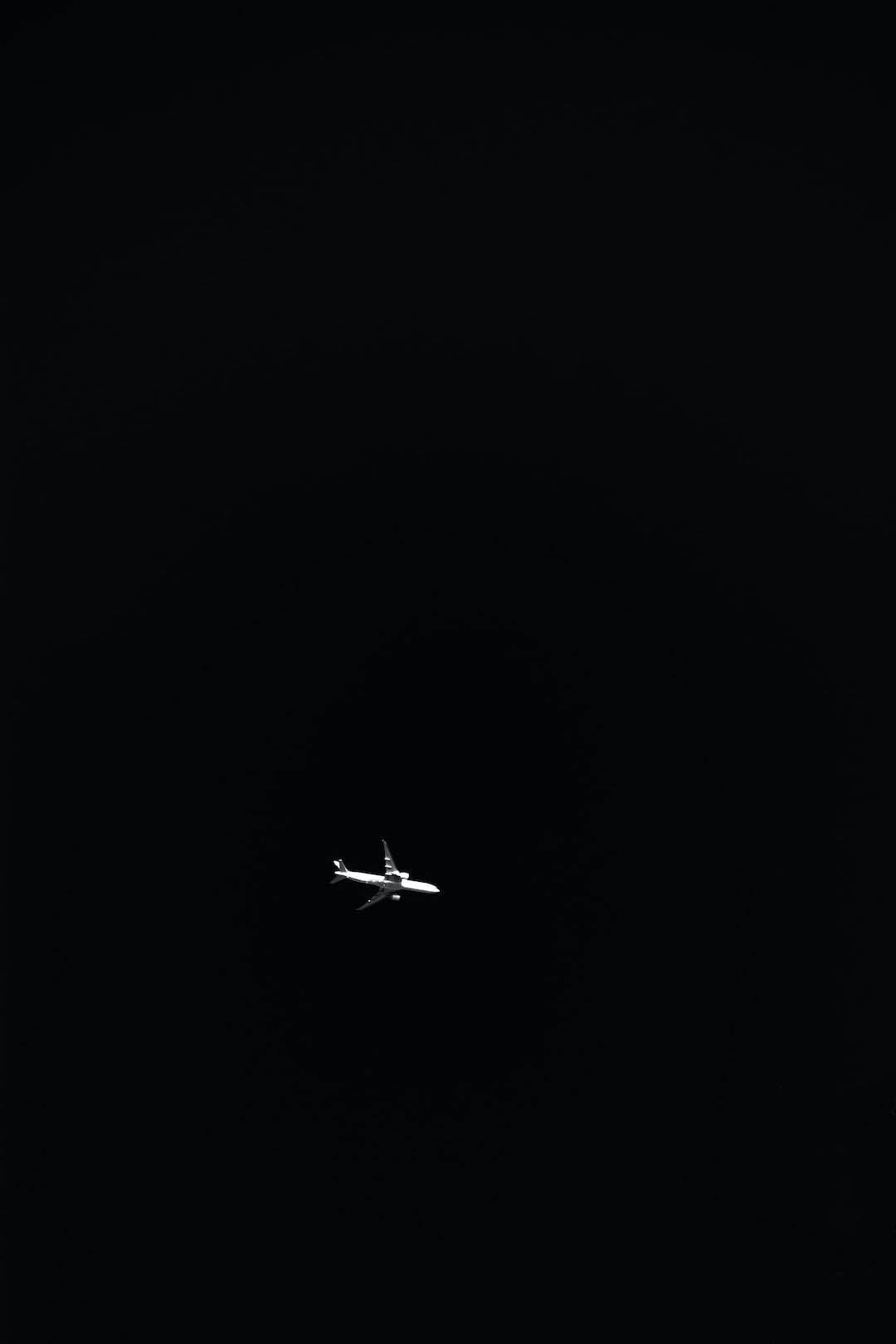 Minimalistisk fly PFP i sort og hvid Wallpapers