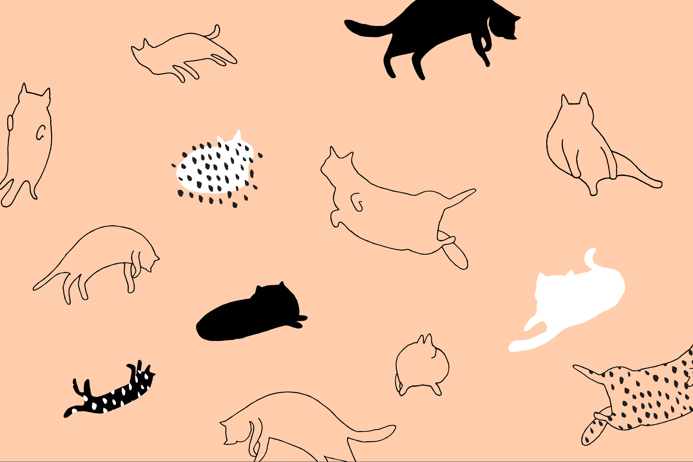 Minimalistisk kunst med tegneseriekatte Wallpapers