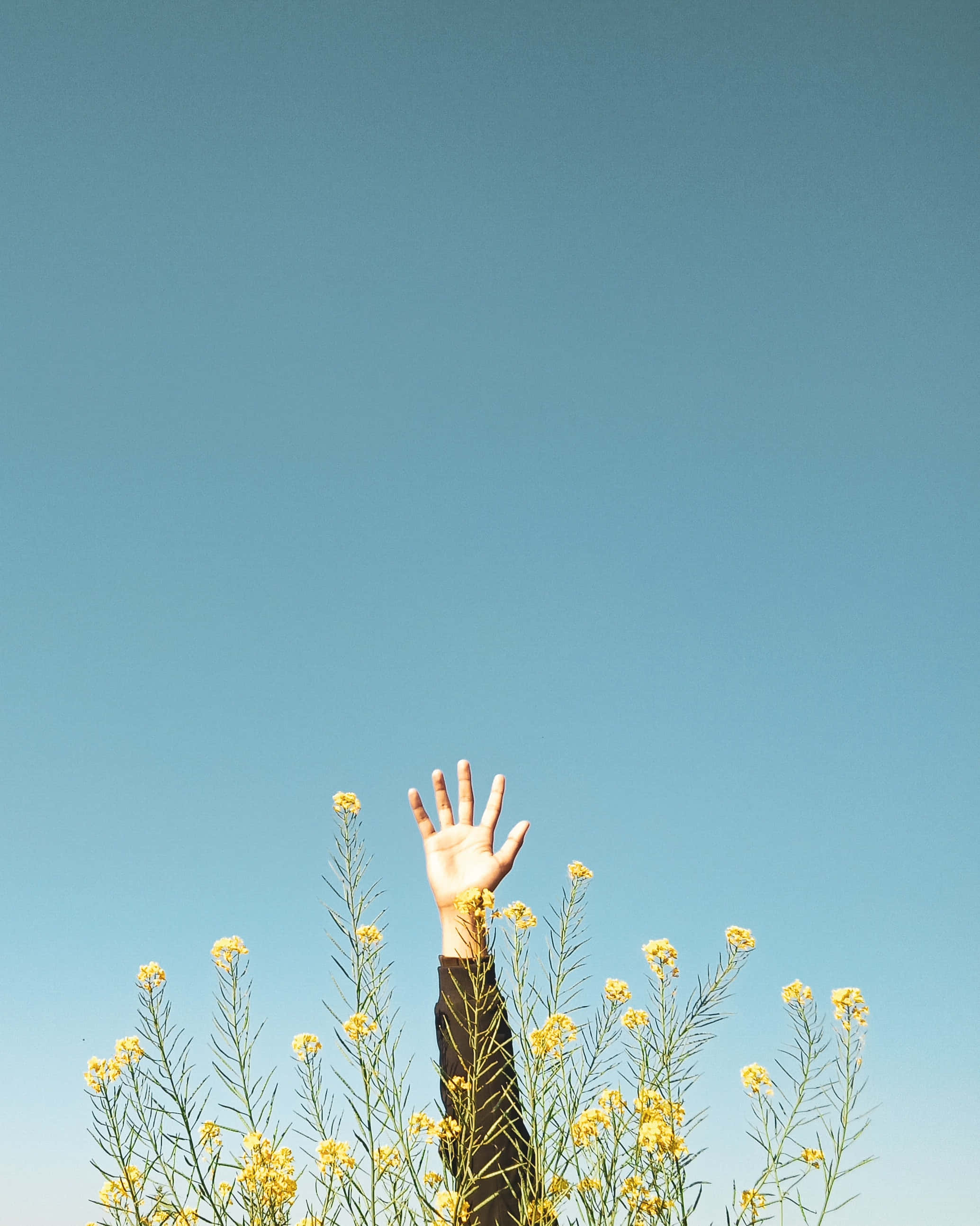 Minimalistisk kunstnerisk elegance Wallpapers
