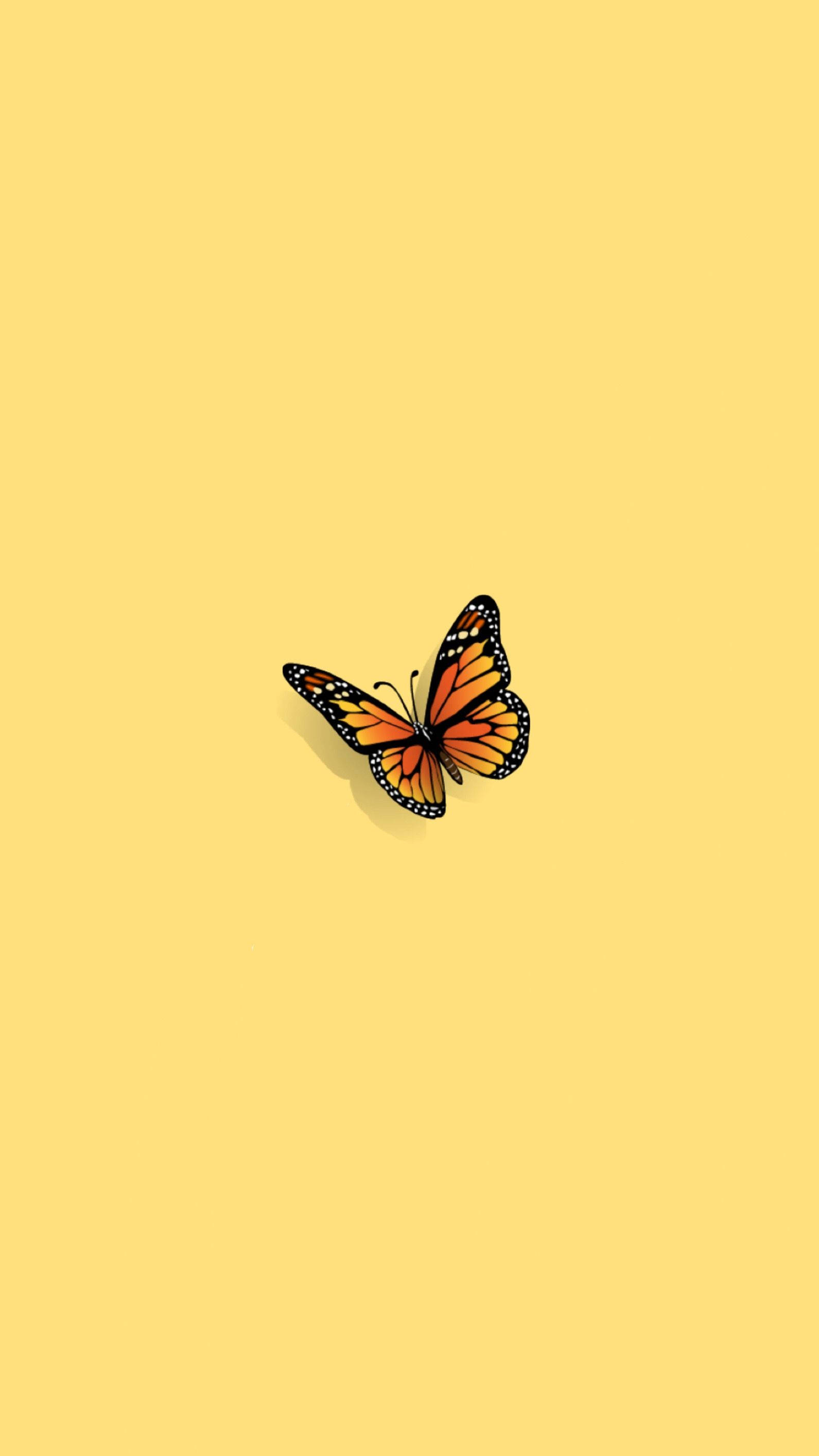 Minimalistisk orange sommerfugl æstetik Wallpapers