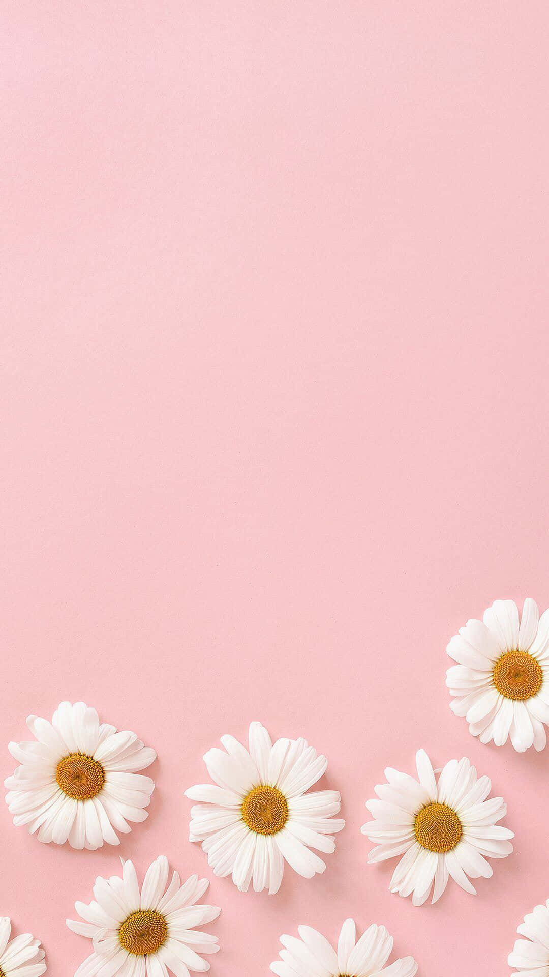Minimalistisk pastelrosa teksturbaggrund Wallpapers