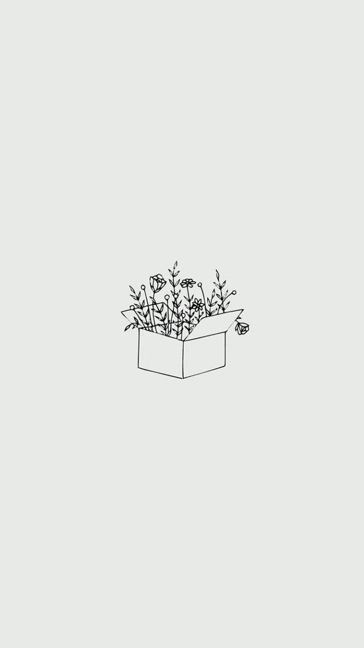 Minimalistisk æske fyldt med blomster Wallpapers