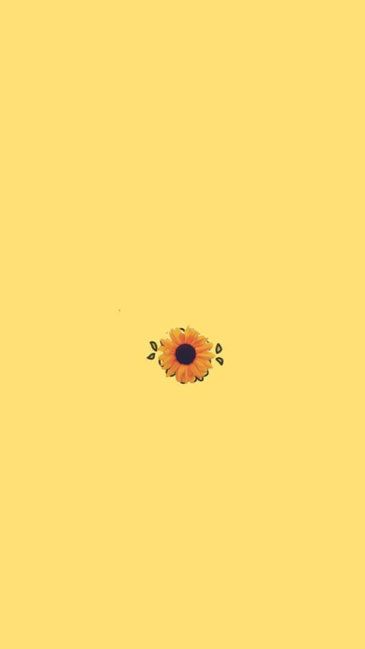 Minimalistisk solsikke sød pastelgul Wallpapers