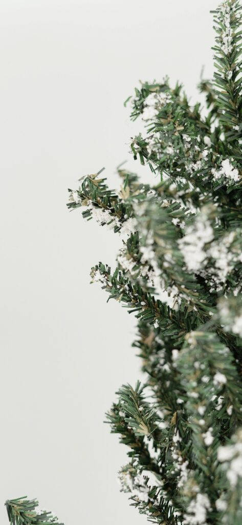 Minimalistiske julegran-grene Wallpapers