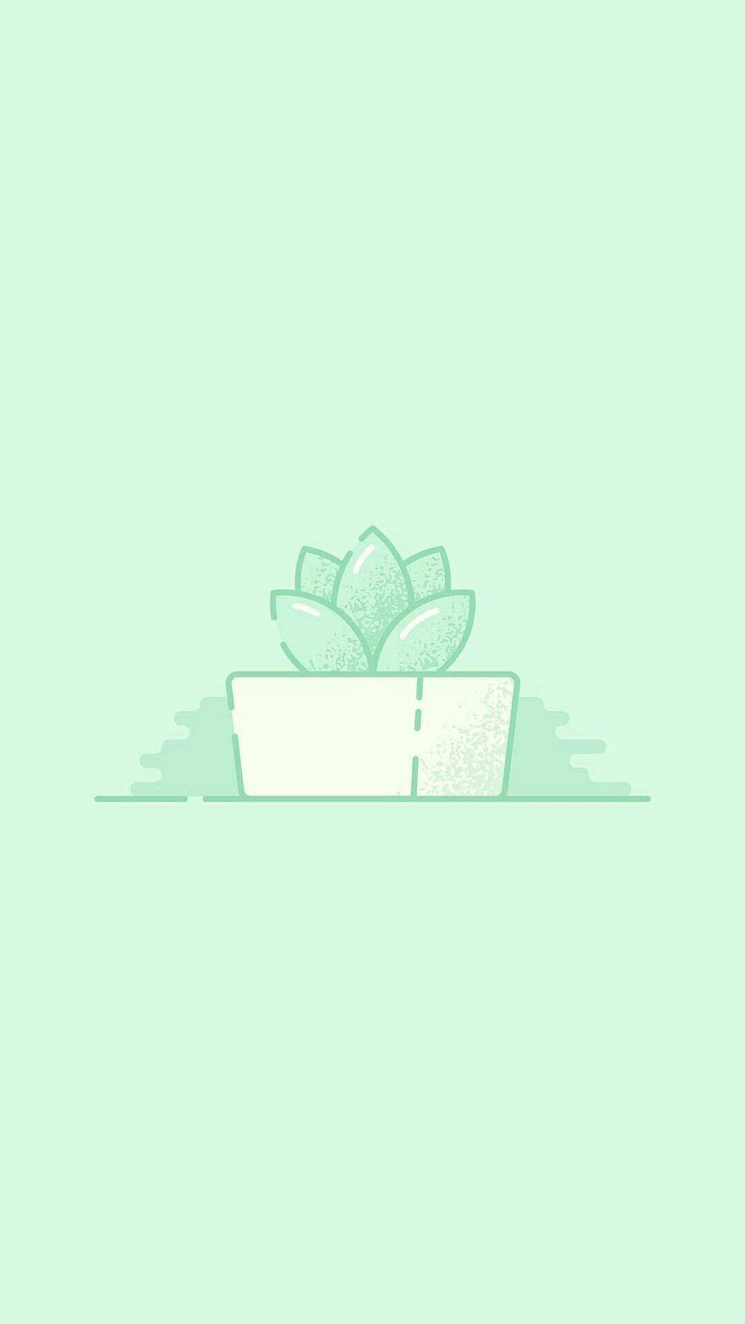 Mintgrøn æstetisk kaktus Wallpapers