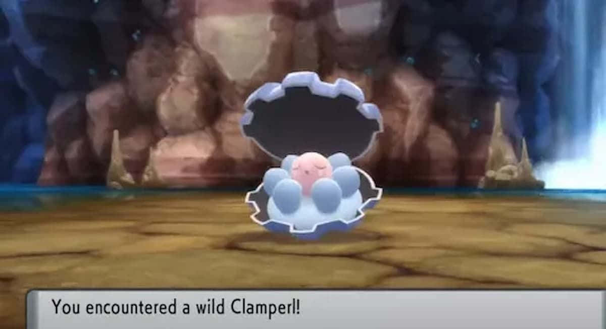 Møde med et vildt Clamperl Wallpapers