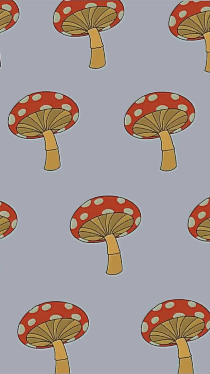 Mønster Svampeæstetik Wallpapers