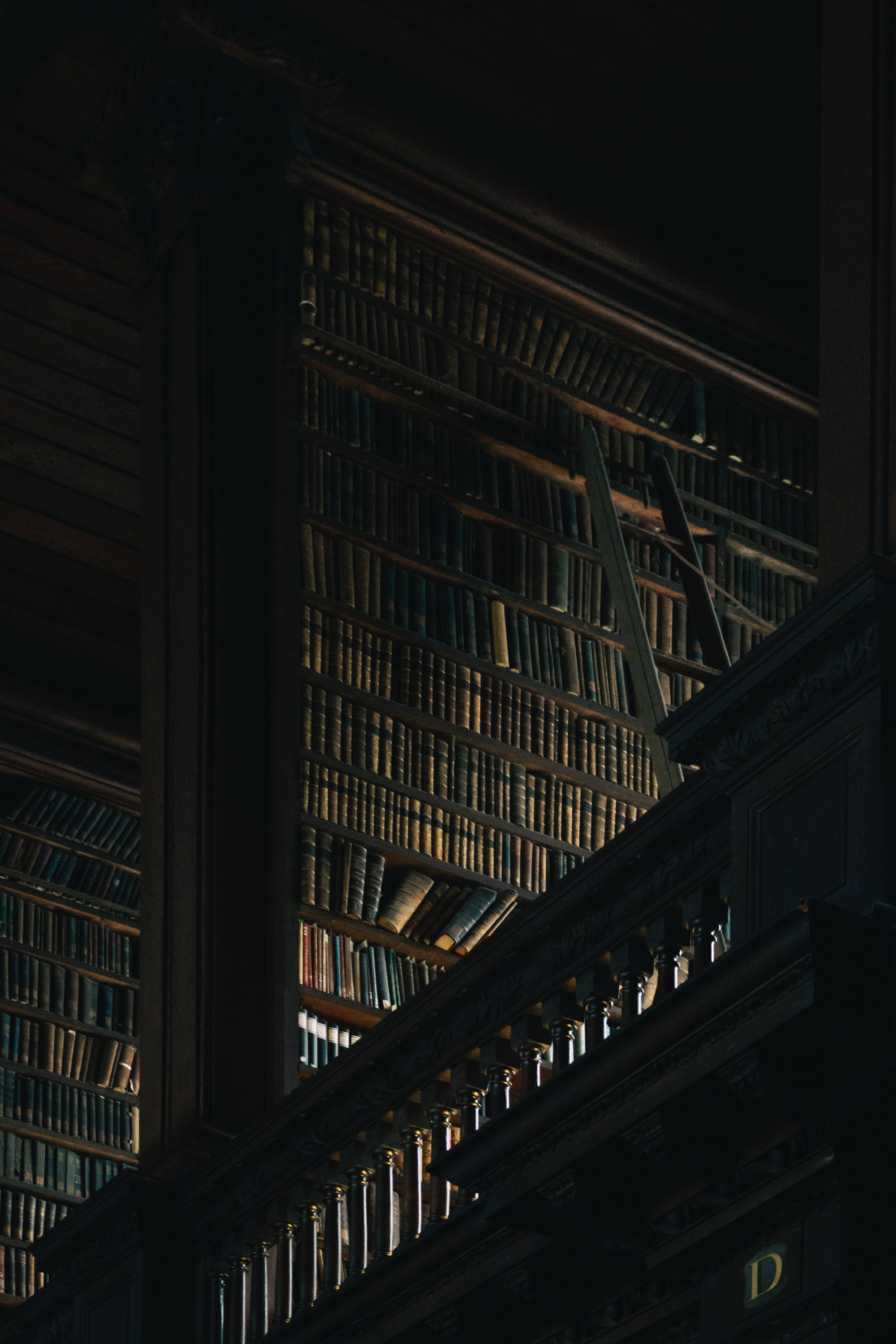 Mørk æstetisk bibliotek Wallpapers