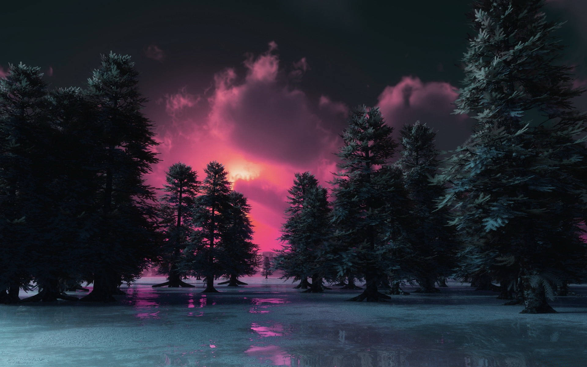 Mørk skov solnedgang desktop Wallpapers