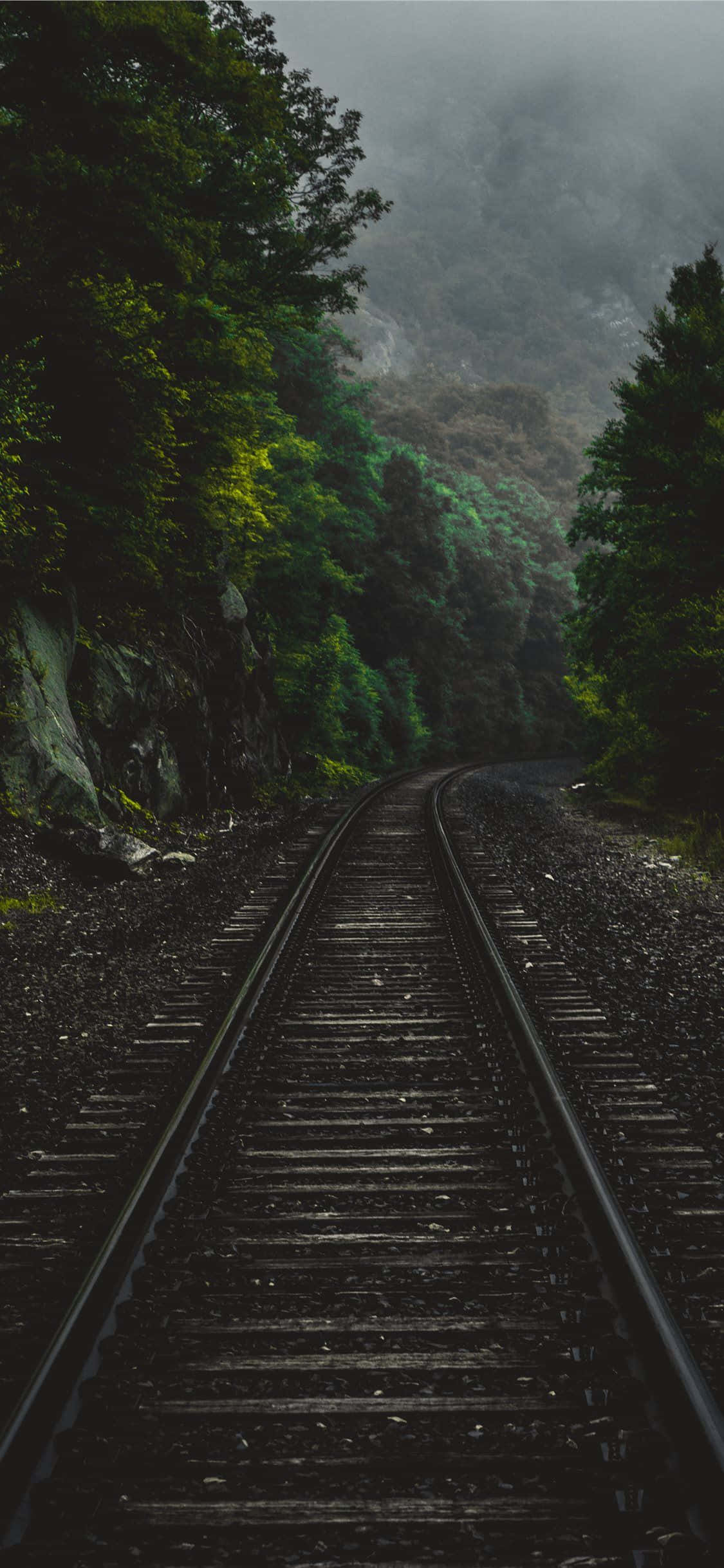 Mørk Træ Tog Jernbane Udenfor Baggrund Wallpapers