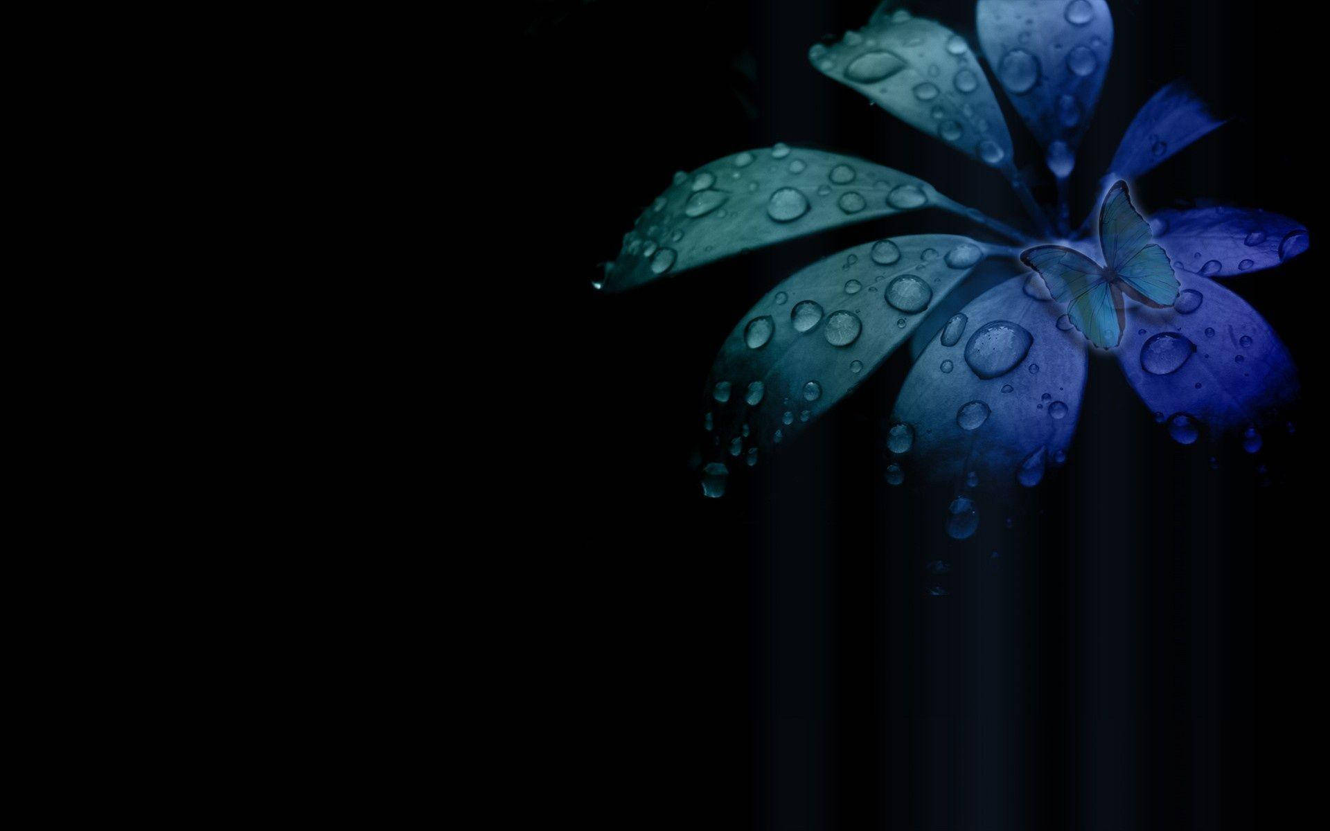 Mørkeblågrønne HD-blomster til skrivebordet Wallpapers