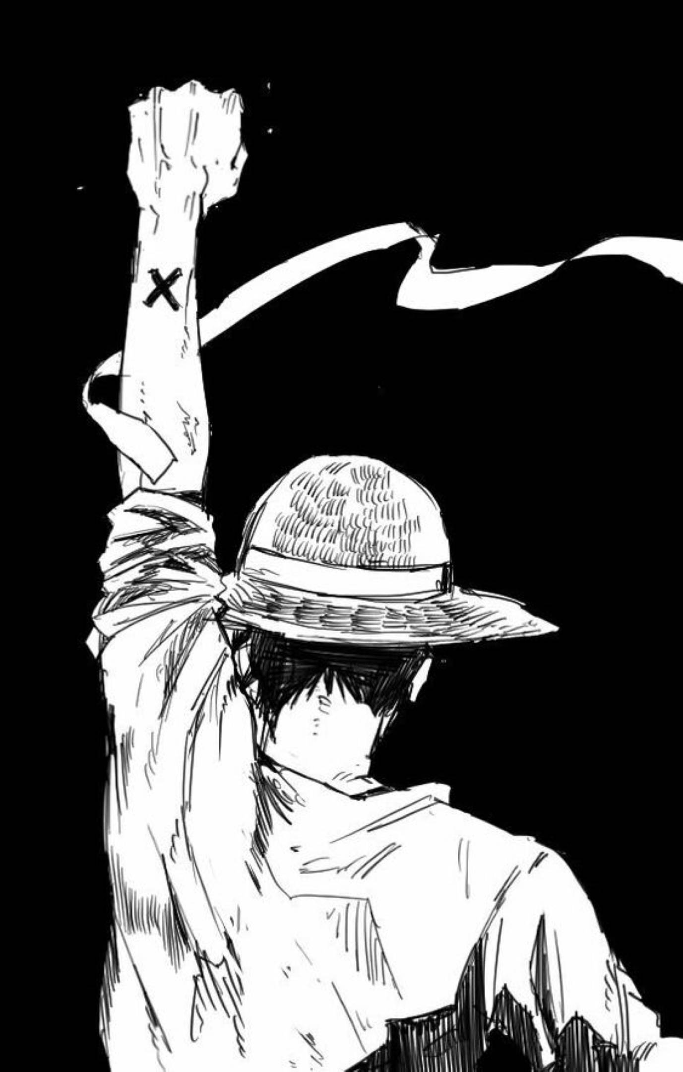 Monkey D Luffy ryg skitsekunst Wallpapers