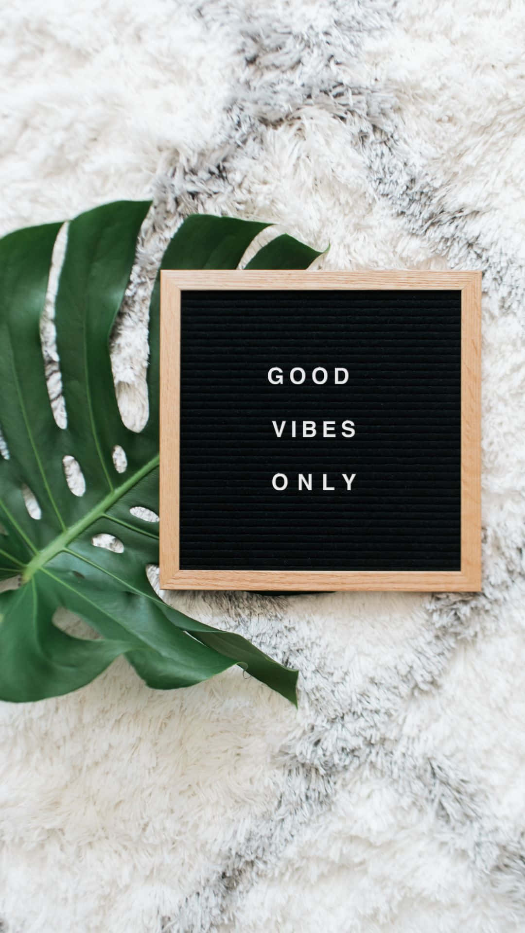 Monstera-blad Good Vibes iPhone Wallpapers